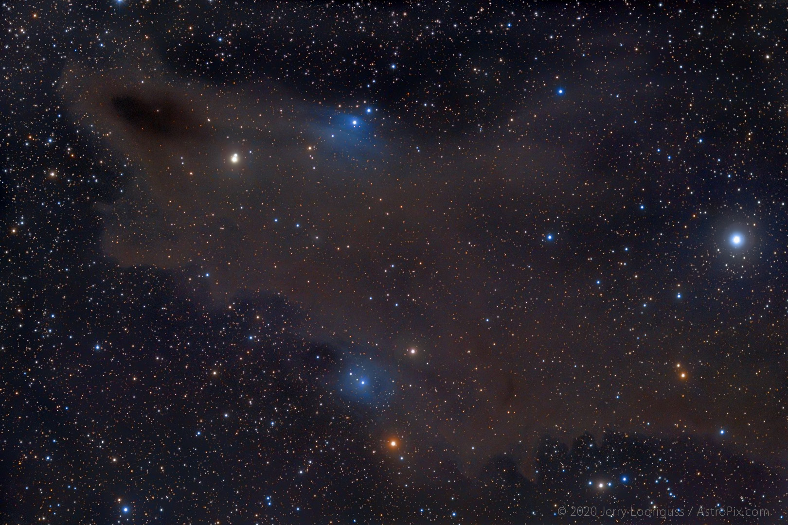 Blue reflection nebulae VdB 150 and VdB 149, and dark nebula LDN 1235 (at upper left) in Cepheus.