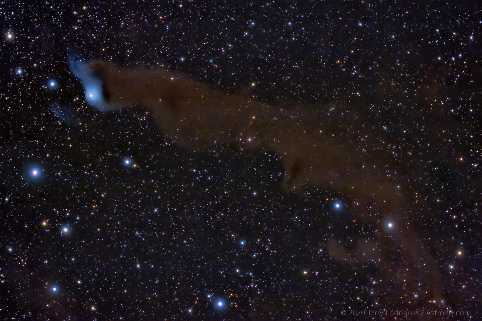 Van den Bergh 152, also known as Cederblad 201, is a blue reflection nebula at top left in the image. The large dark nebula stretching through the frame is Barnard 175, a Bok Globule. This complex, also called Wolf's Cave, is located about 1,400 light years away in the direction of the constellation of Cepheus.<br /><br />Full of very faint dust, this area is part of a large molecular cloud named the Cepheus Flare by Edwin Hubble. The opaque dust blocks most of the starlight behind it, but blue light from a young star is scattered and reflected off some of the particles to illuminate the reflection part of the nebula. Some of the faint dust may be glowing in a dim red color from luminescence, forming an Extended Red Emission nebula (ERE).