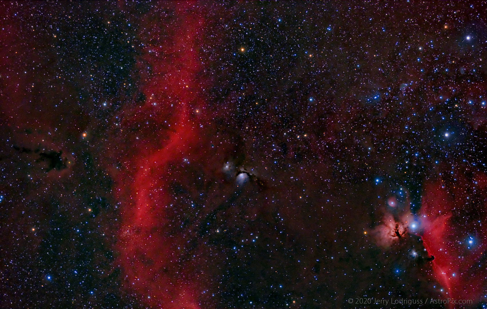 SH2-276, Barnard's Loop, M78, B33, Horsehead Nebula, NGC 2024, Flame Nebula, LDN 1622, Alnitak, Alnilam, Mintaka.