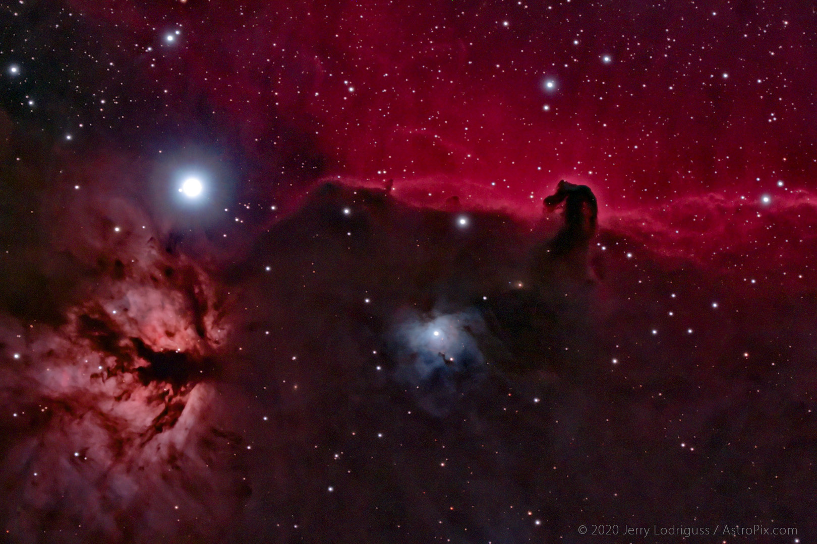 The Horsehead Nebula, B33, is the dark nebula in front of the bright red emission nebula IC 434. Along with the Orion Nebula, these nebulae near the Horsehead are part of a very large complex that is a stellar nursery where stars are forming out of the dust and gas. Located about 1,500 light years away, this complex is the closest star forming region to our own solar system. The Flame Nebula, NGC 2024, is to the lower left of Alnitak, Zeta Orionis, the easternmost star in the three distinctive stars in the Hunter's belt of Orion, and the brightest star in this photo. To the lower left of the Horsehead is the blue reflection nebula NGC 2023. Dark Nebulae are clouds of dust in space that obscure the stars behind them. Emission nebulae are clouds of glowing ionized gas. Reflection nebulae do not shine by their own light, but are visible because they reflect the light of nearby stars.