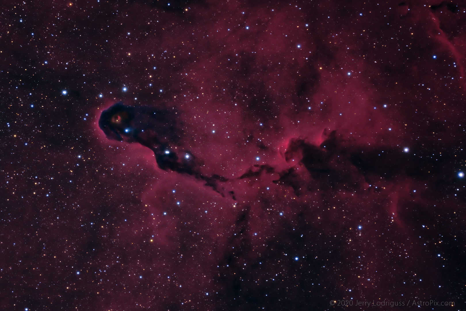 VdB 142, the Elephant Trunk, is a Bok globule in a complex of light and dark nebulae in Cepheus.