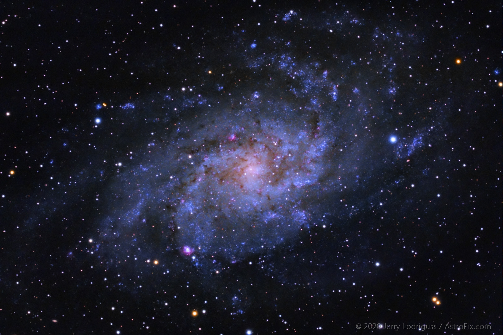 M33, the Pinwheel Galaxy in Triangulum.