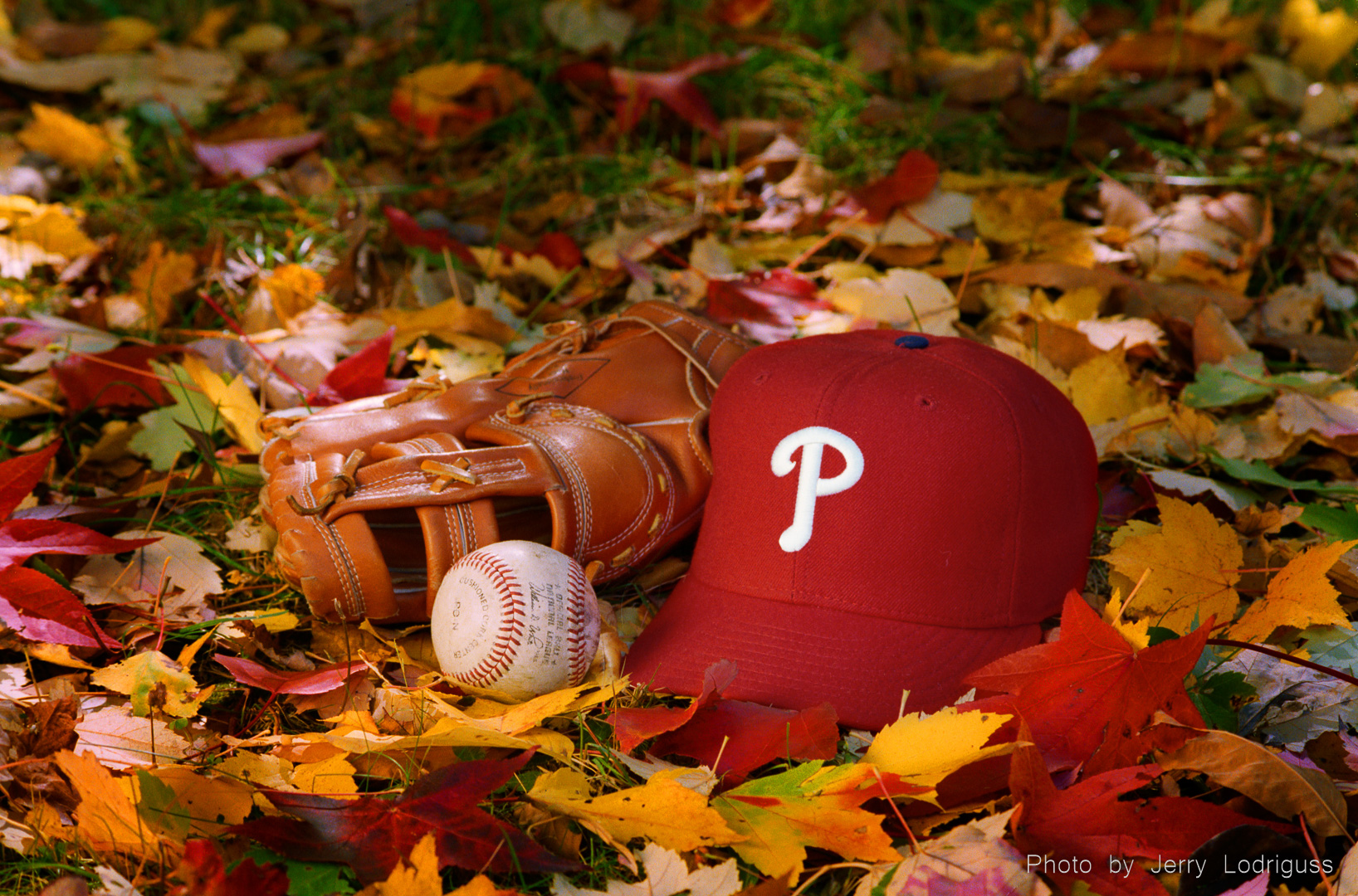 A Phillies hat, glove and ball sit among the fallen leaves of autumn in 1993, a year the team won 97 games, went from last place to first place, captured the National League Pennant, and made a trip to the World Series where they faced the Toronto Blue Jays in the Fall Classic.